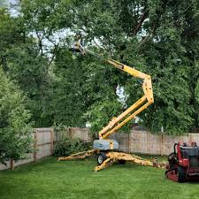 Best Lawn Irrigation Installation and Maintenance  in St Robert, MO