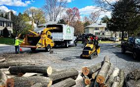 Leaf Removal in St Robert, MO